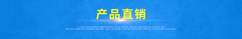 卸貨登車(chē)橋(圖15)
